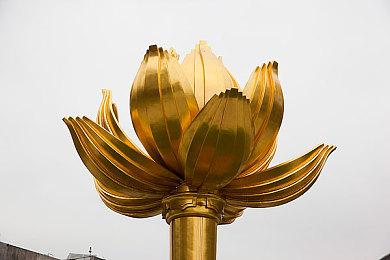 AMD中国台湾：买RX 6000系列显卡也送《星空》